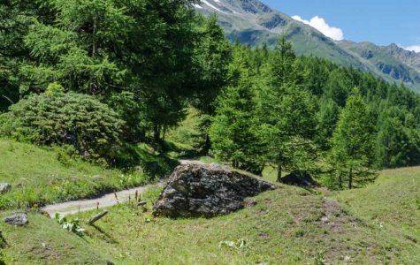 Walkers at Le Monal, Sainte Foy Tarentaise