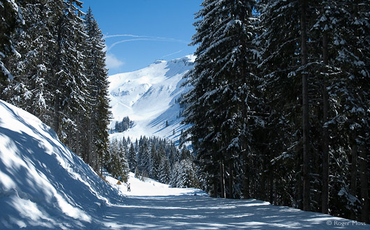 A moment of calm on Lou Darbes piste above Les Carroz.