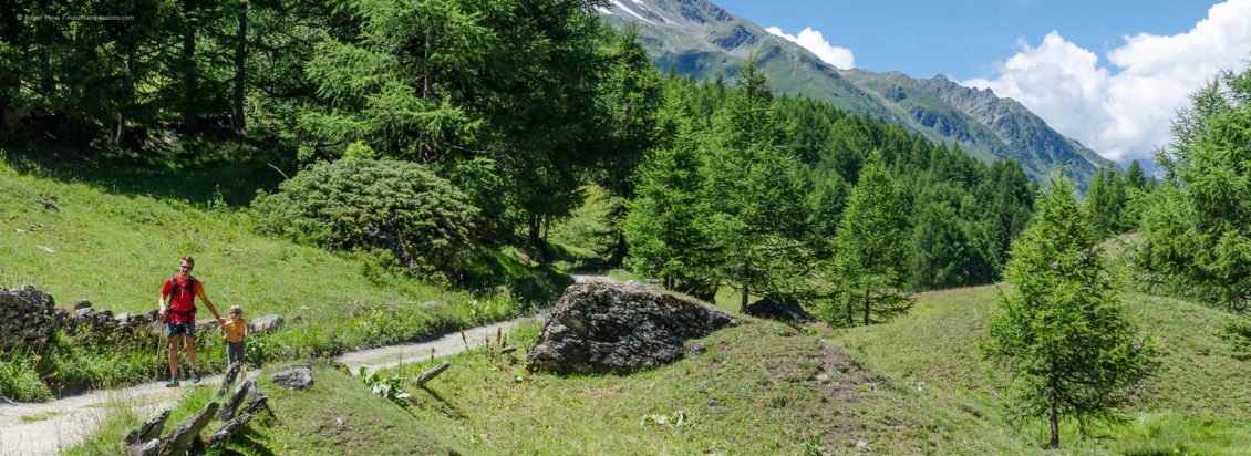 Walkers at Le Monal, Sainte Foy Tarentaise