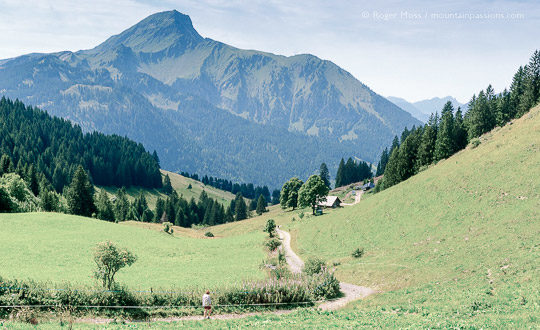 Wide view of walkers on mountain footpath among summer pastures