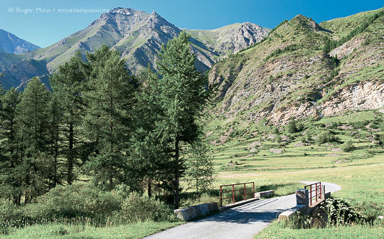 Summer colours in valley at foot of the the Route du Parpaillon, on the approach to Crevoux.