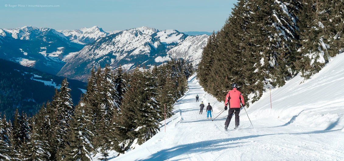 Wide rear view of skiers descending piste between forests above Chatel, French Alps