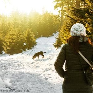 Walker with dog in snow. Photo Daniel Frank