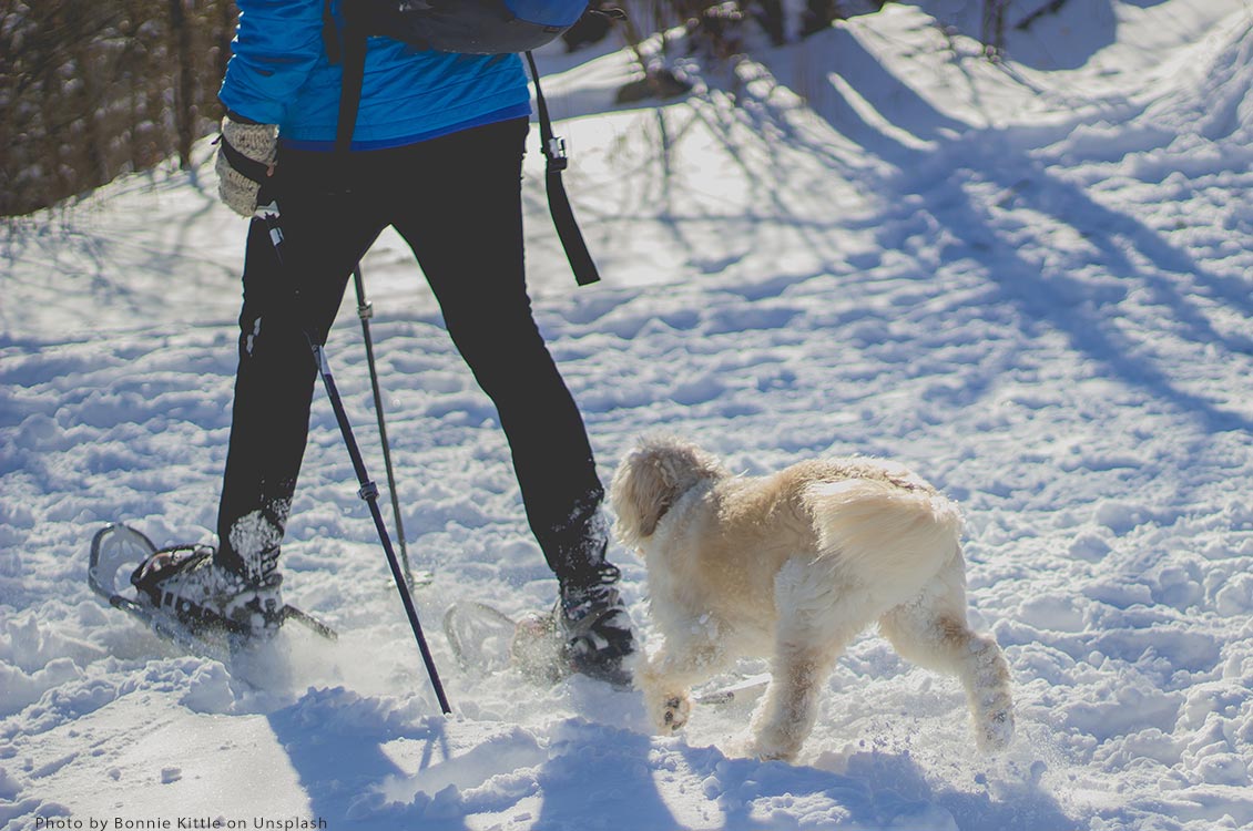 Woman snowshoeing in snow with dog. Photo Bonnie Kittle 