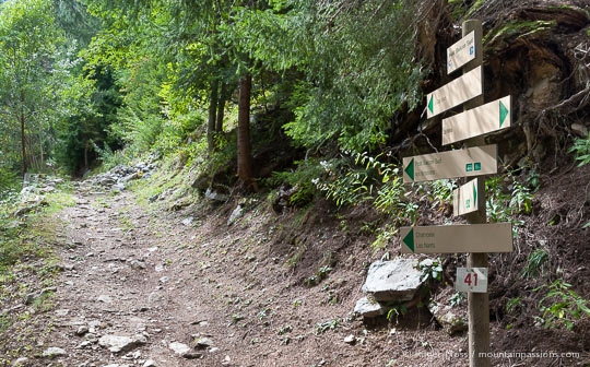 View of signed forest footpath trail above Chamonix