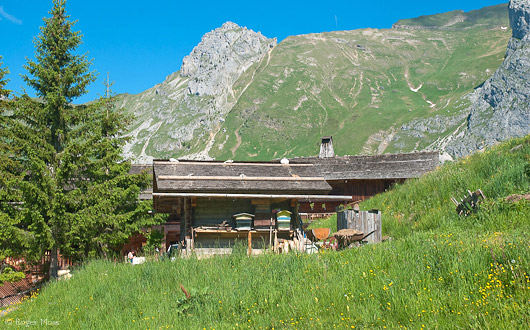 Route des Grandes Alpes