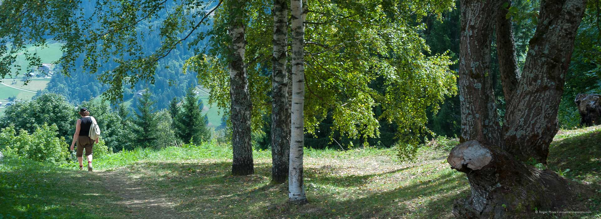 Walker on forest footpath on mountainside above Hauteluce