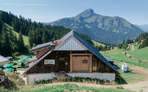 Chalet de Barbossine summer dairy producing Abondance cheese. Châtel, French Alps