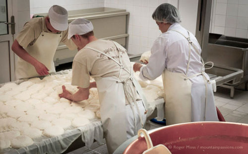 Making Reblochon cheese at the Fruitière de Morzine, French Alps