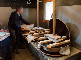 Beaufort Cheesemaking