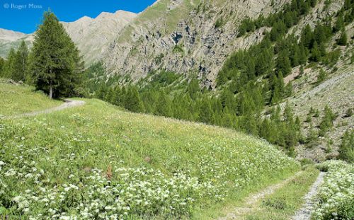 The Route du Parpaillon begins at Chapelle Sainte Anne