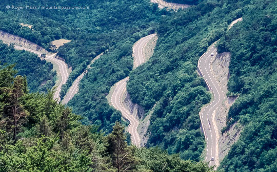 High overview of hairpin bends on wooded mountainside