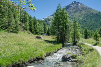 Footpath between Sainte-Foy Tarentaise and Le Monal, French Alps