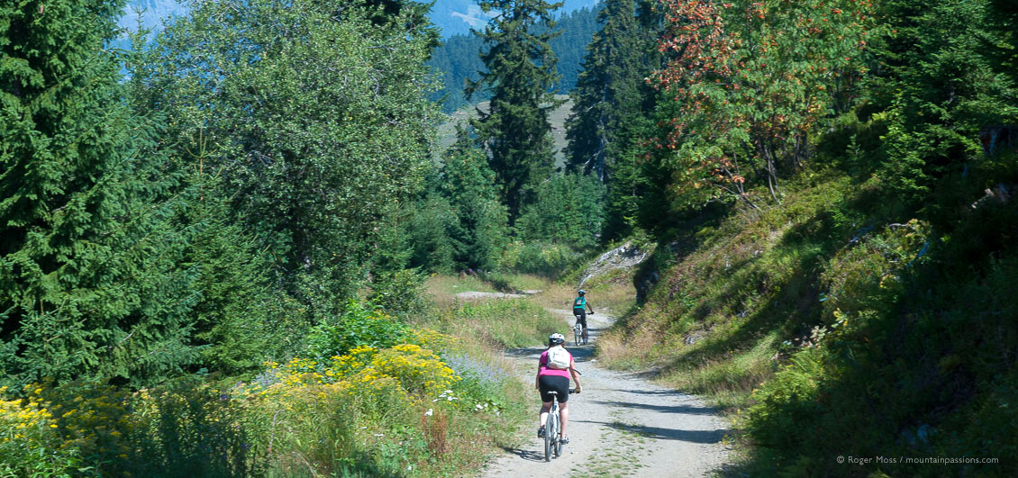 Two mountain bikers on forest trail near Les Saisies