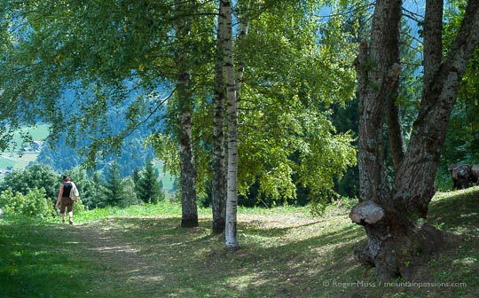 View of walker on footpath leaving forest 