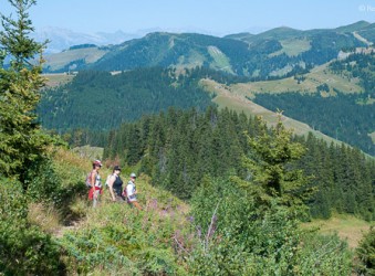 Walkers admire the view at Les Saisies