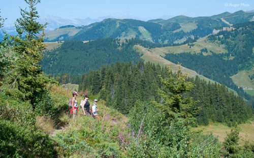 Walkers admire the view at Les Saisies