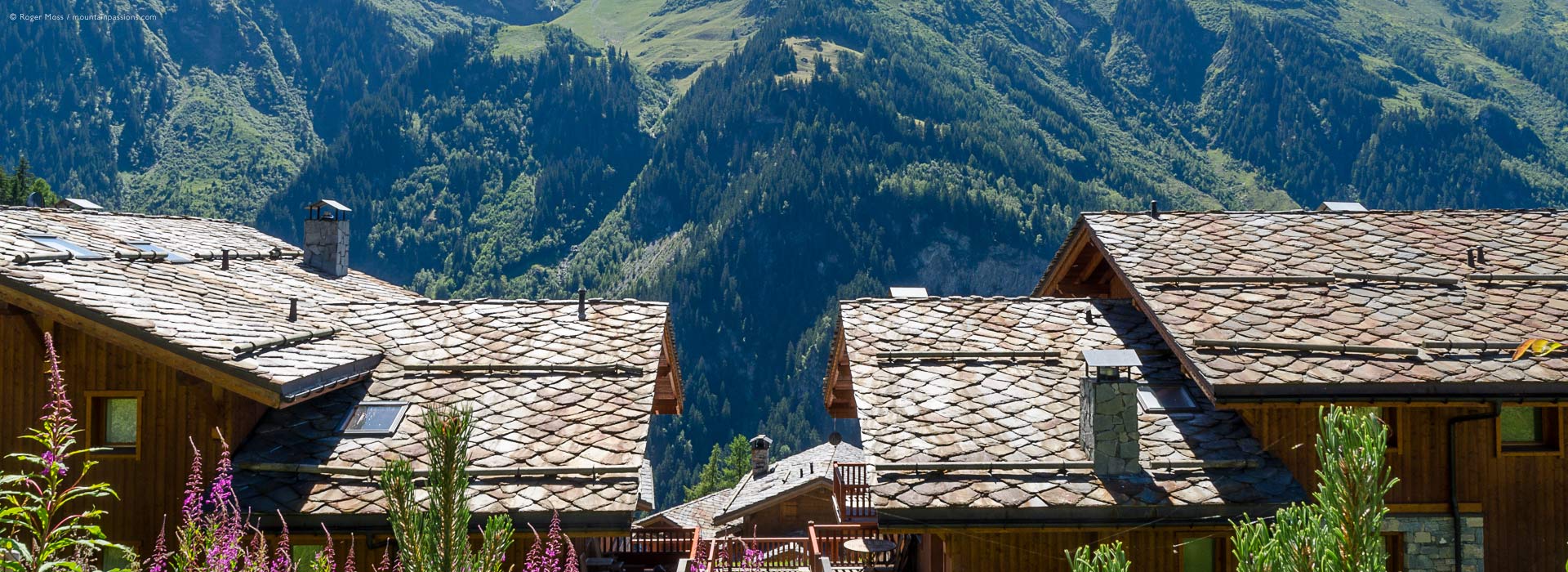 Sainte-Foy-Tarentaise chalet roofs