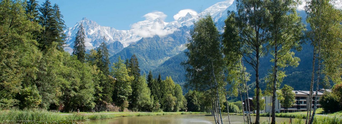 Wide view of wooded valley in summer with mountains and lake