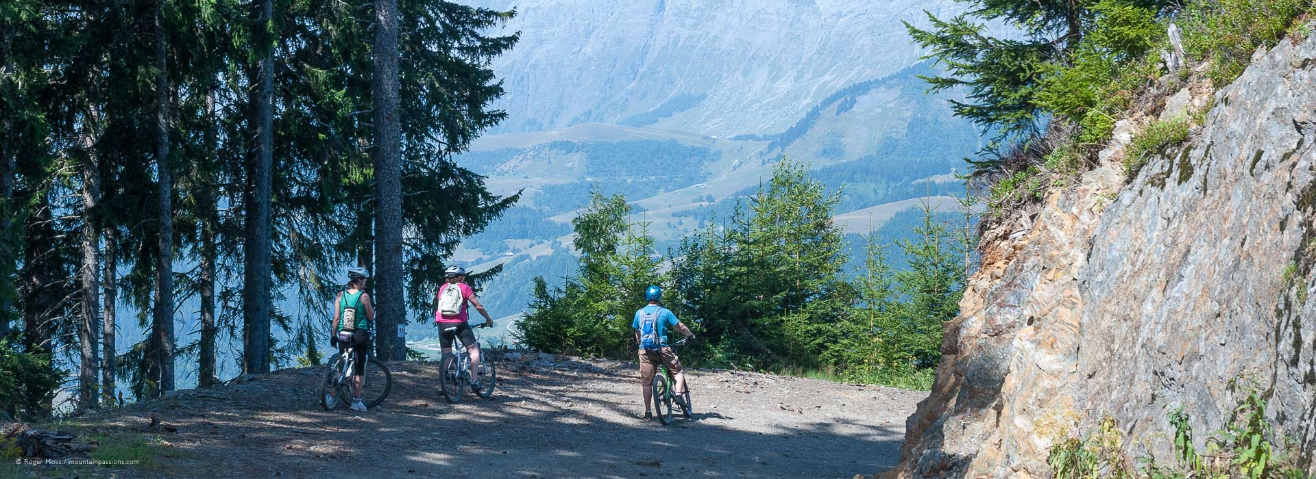 Wide view of mountain bikers leaving forest trail with mountain view ahead