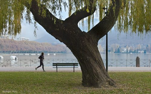 Jogger on the lakeside, Annecy