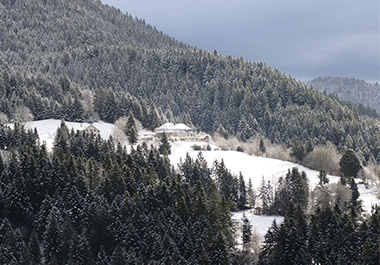 Auberge-De-Sarcenas-Chartreuse