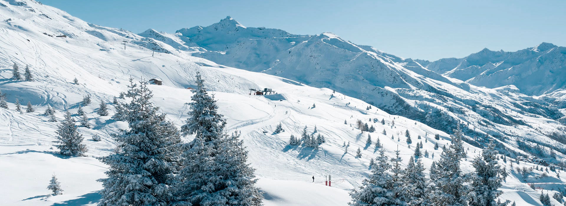 Wide overview of mountainside with snow-covered trees and skier on piste