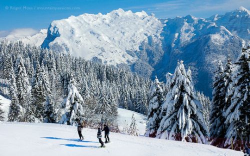 Overview of skiers looking at mountain views with snow-covered forests at Samoens, French Alps