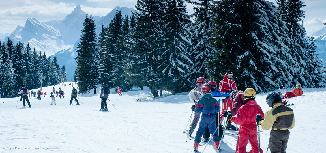 Ski instructor with young skiers on tree-lined piste