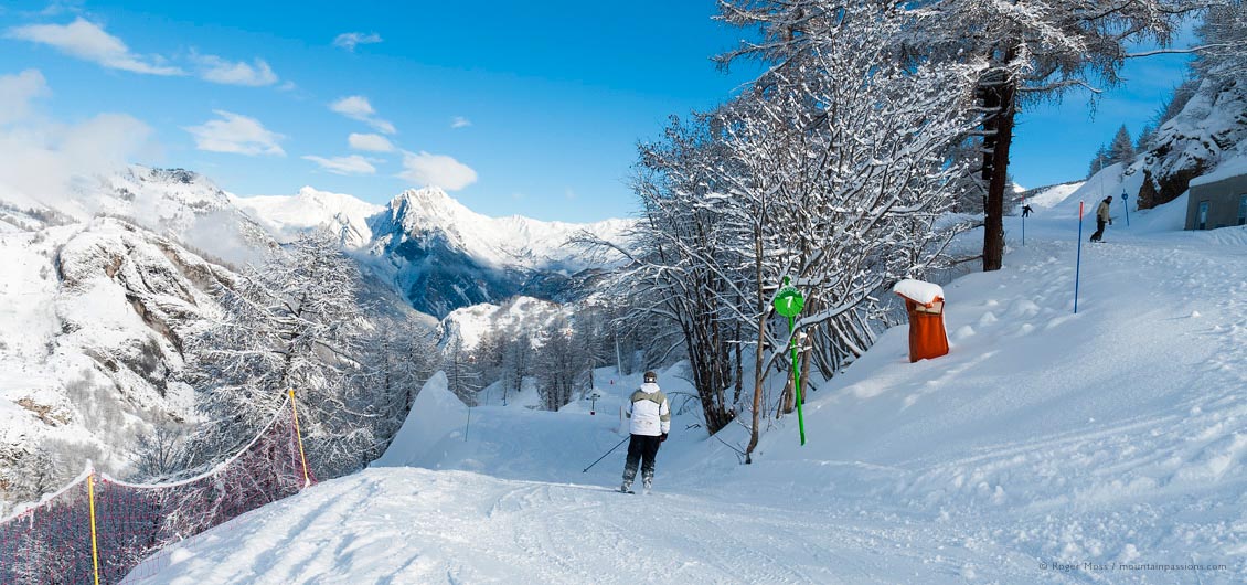 Skier on tree-lined piste after fresh snowfall