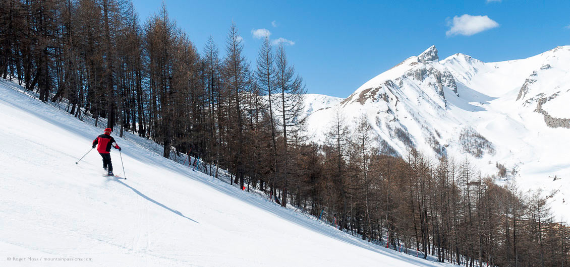 Lone skier descending tree-lined piste with mountains in background