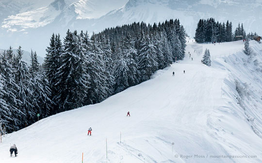 Overview of skiers on ridge with forest and mountains