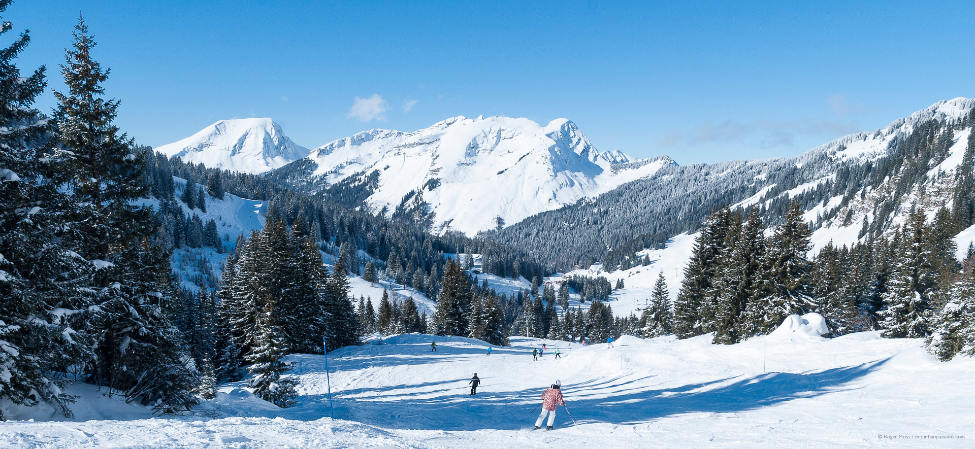 Skiers descending wide piste between trees with snowy mountain background.