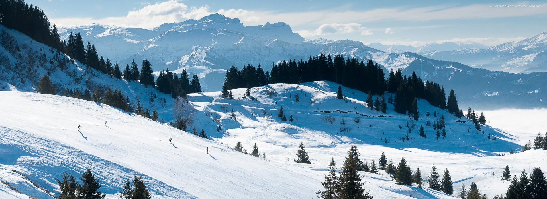 High, wide view of ski area with pine trees and surrounding mountains above Les Gets.