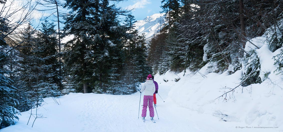 Two skiers on wooded mountain trail