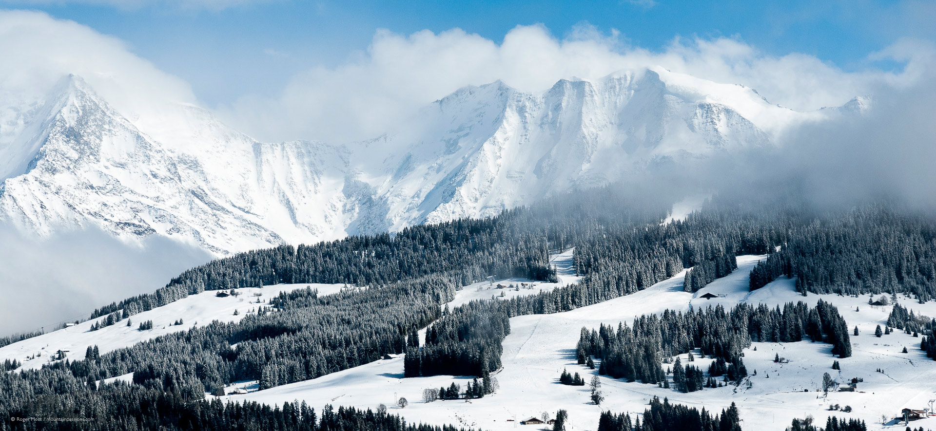 Long view of tree-lined pistes with Mont-Blanc in background