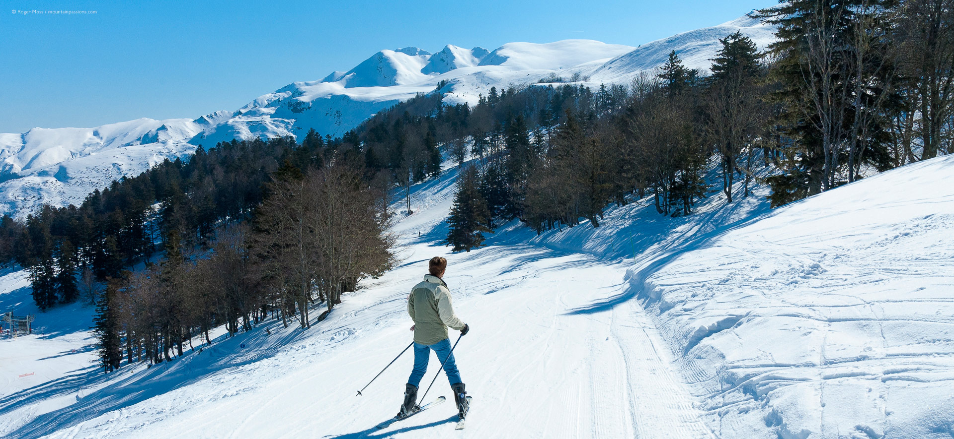 Young skier among unspoilt mountain scenery with pine trees