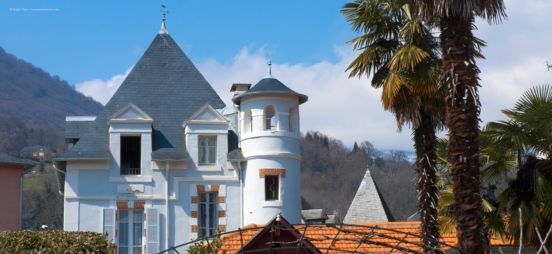 Ornate villa with exotic tree in valley