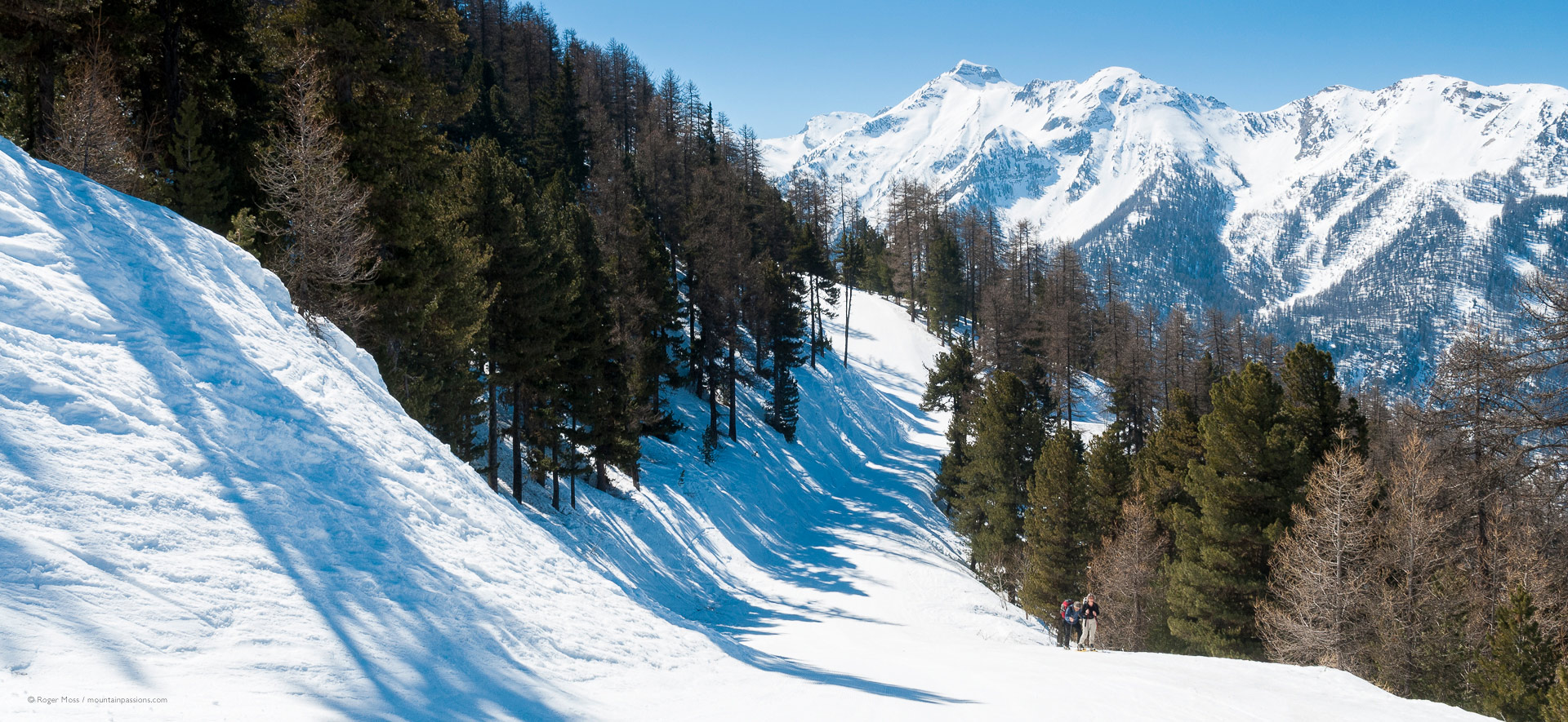 Two walkers beside tree-lined ski piste at Les Orres 1850