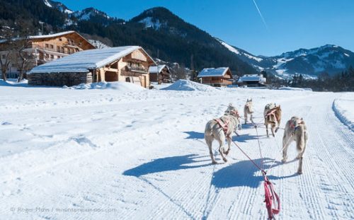 View from dog sled of wide, snow-covered valley with chalets and mountains