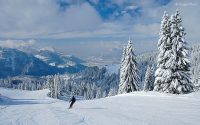 Skier, snowy mountains and trees, Grand Massif