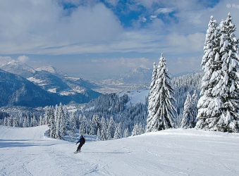 Skier, snowy mountains and trees, Grand Massif