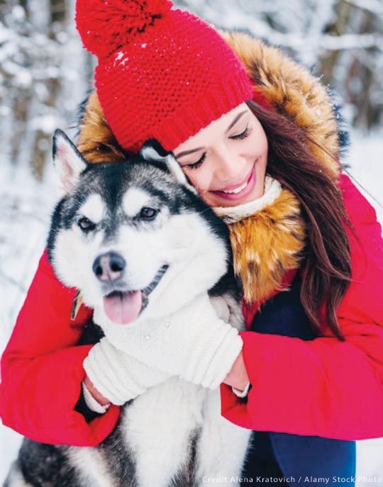 Winter Activities with Animals - Winter Activities - MountainPassions