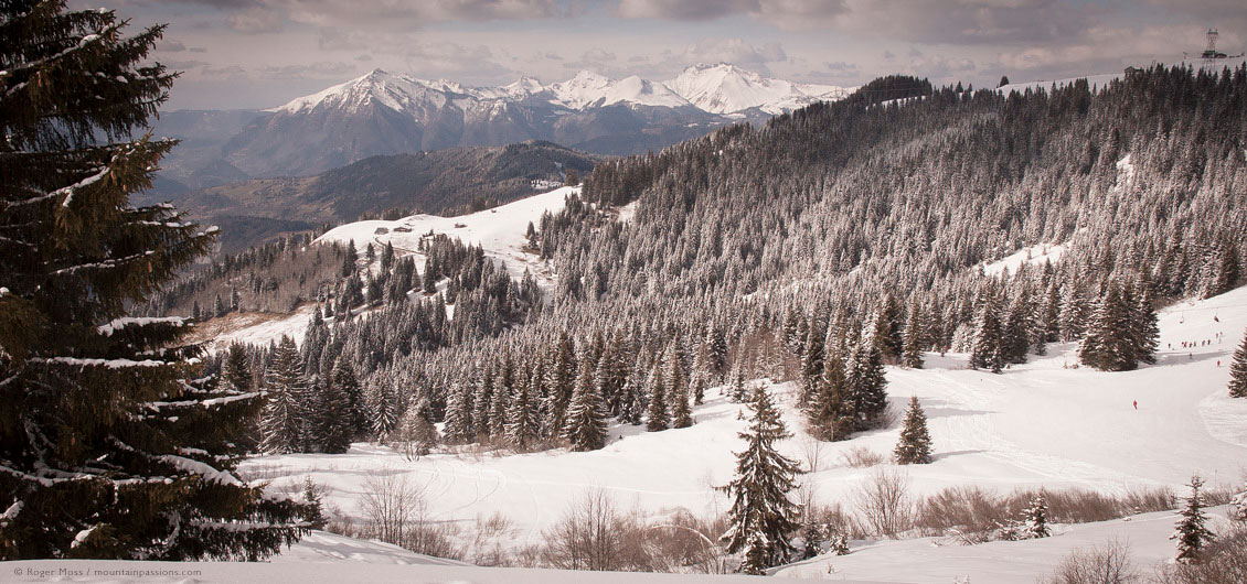 Wide view of mountainside with forests and skiers