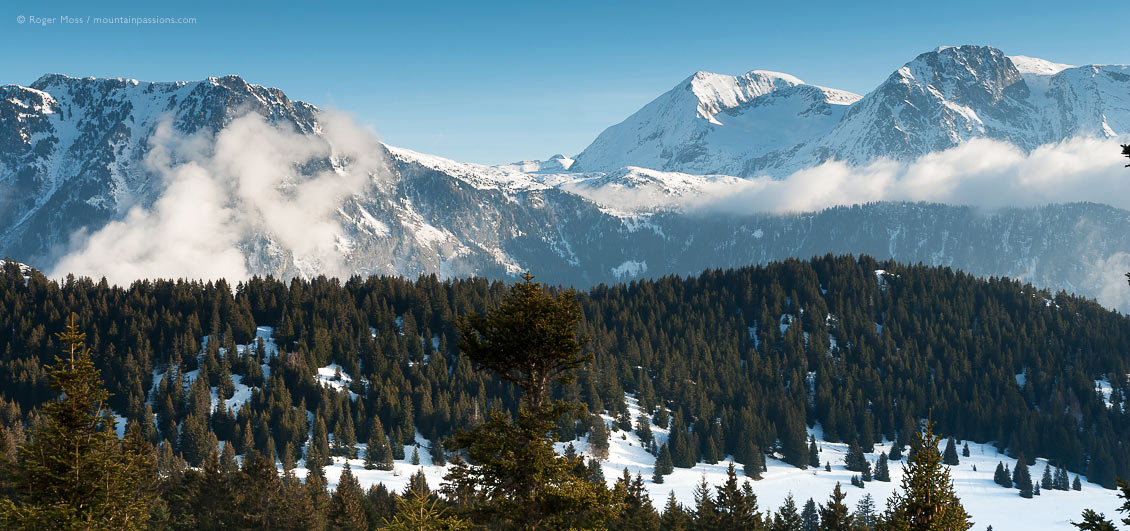 Wide view of Grandes Rousses mountains beyond tree-lined ski pistes at Chamrousse.