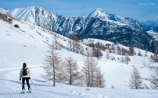 Le Chemin piste with skier, Serre Chevalier