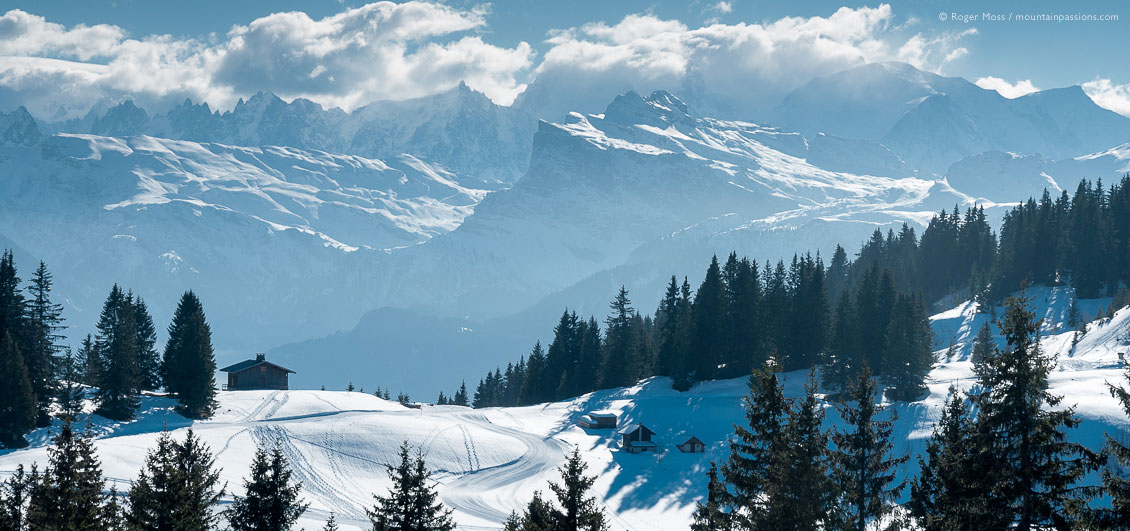 Big view of tree-lined pistes and mountains at Les Gets