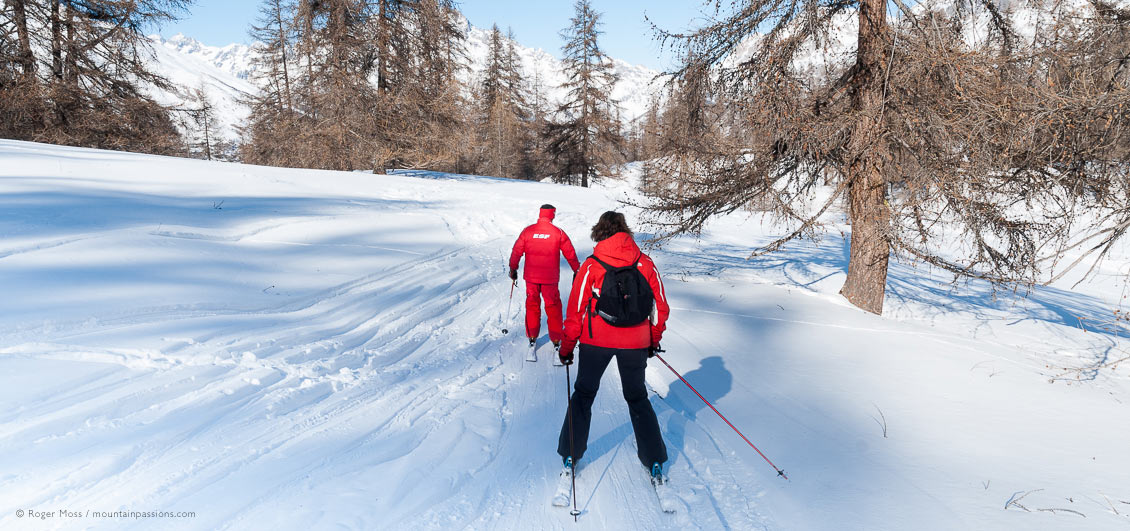 Rear view of two skiers in wooded glade at Puy Saint Vincent