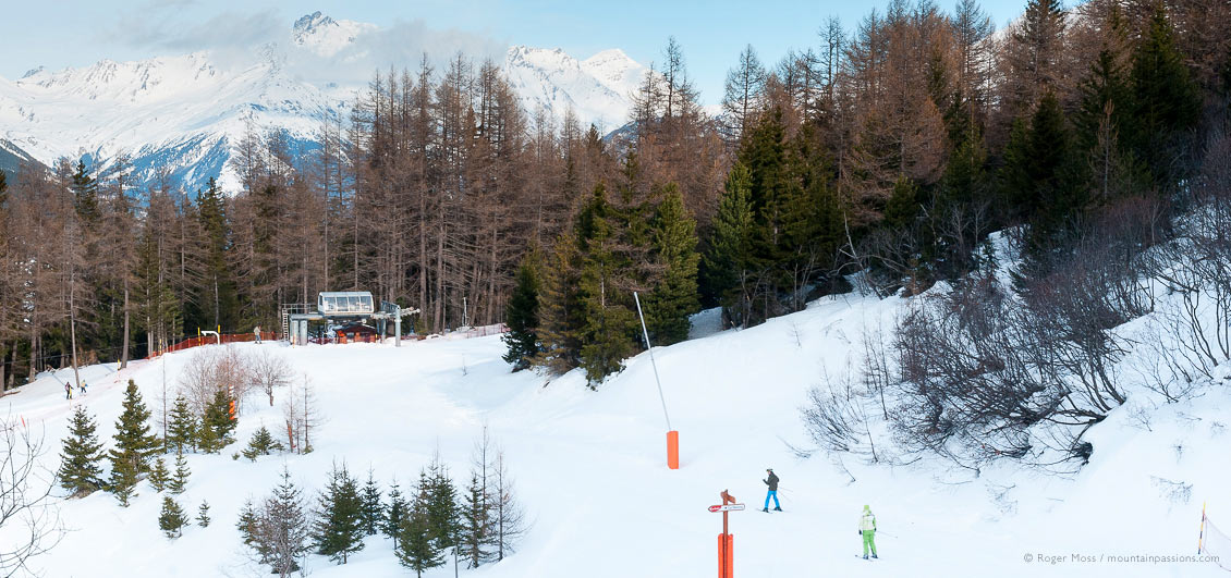 High view of piste with skiers with forest and ski lift at La Norma