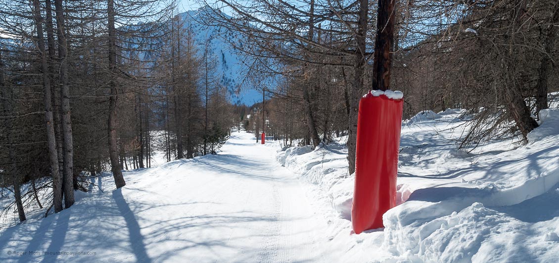 Skier's-eye view of wooded ski piste in sunshine at Montgenevre.